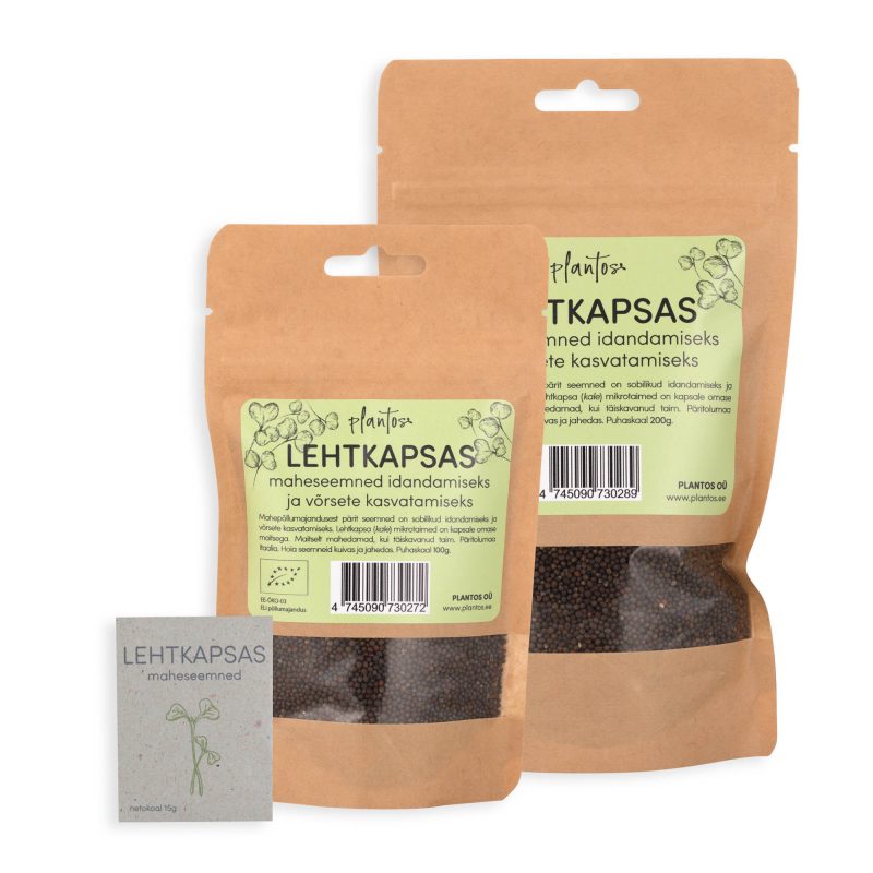 Lehtkapsas