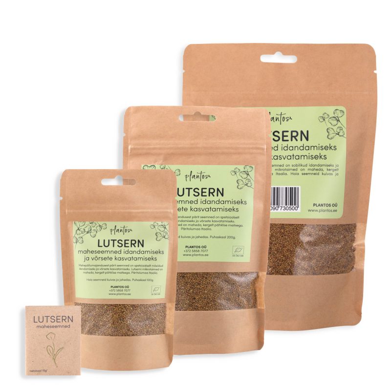 Lutsern